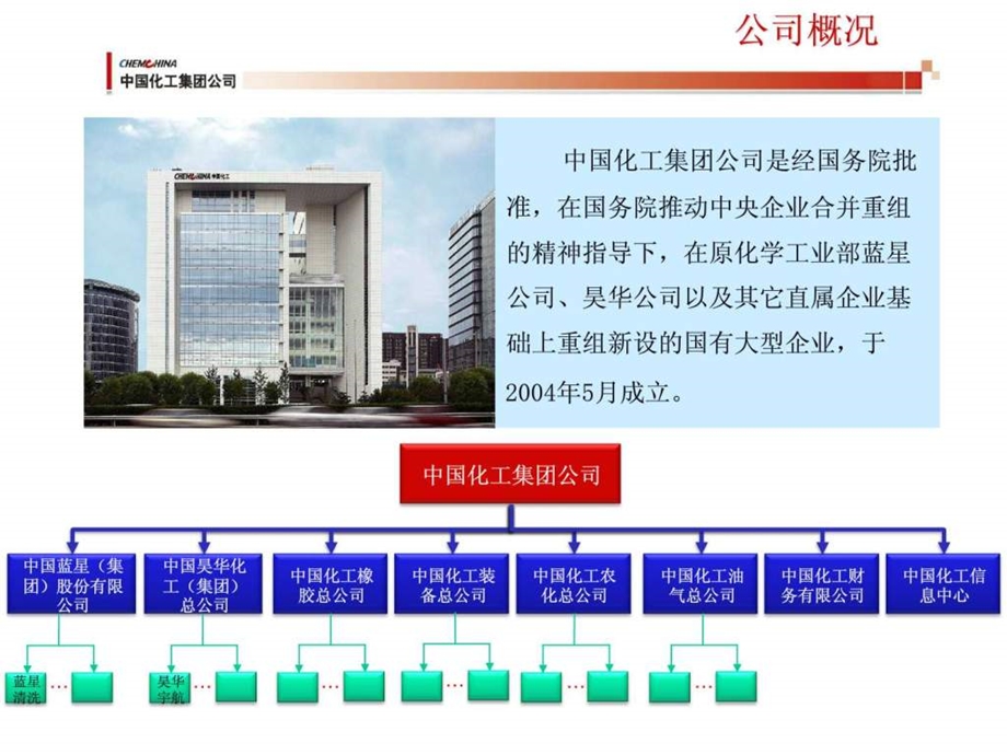 中国化工集团公司信息化规划及建设现状.ppt.ppt_第3页