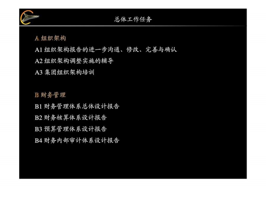 九略汇仁项目总体计划.ppt_第2页