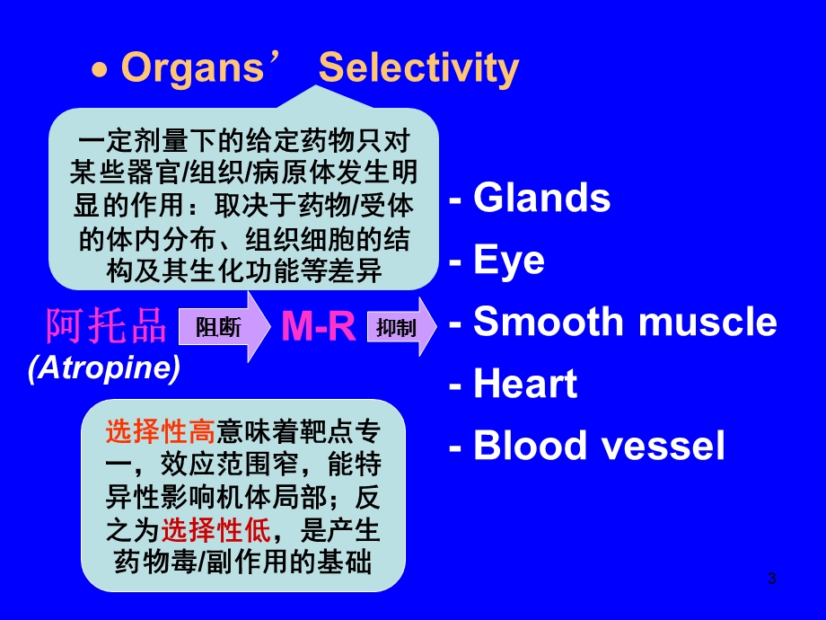 02s药物效应动力学.ppt_第3页