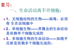 细胞的多样性和统一性显微镜的使用PPT课件.ppt