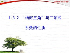 1.3.2杨辉三角与二项式系数的性质图文.ppt.ppt