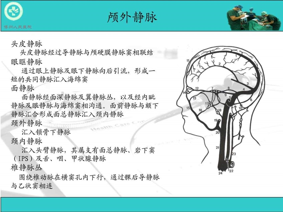 脑血管疾病CTA诊断图文.ppt.ppt_第3页