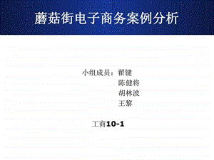 蘑菇街电子商务案例分析人力资源管理经管营销专业资料.ppt.ppt