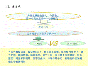 美国的老玉米卖多少钱一个.ppt.ppt