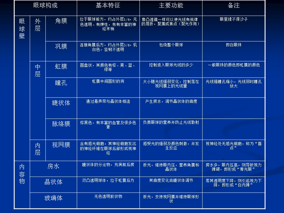 眼睛视觉器官.ppt_第3页