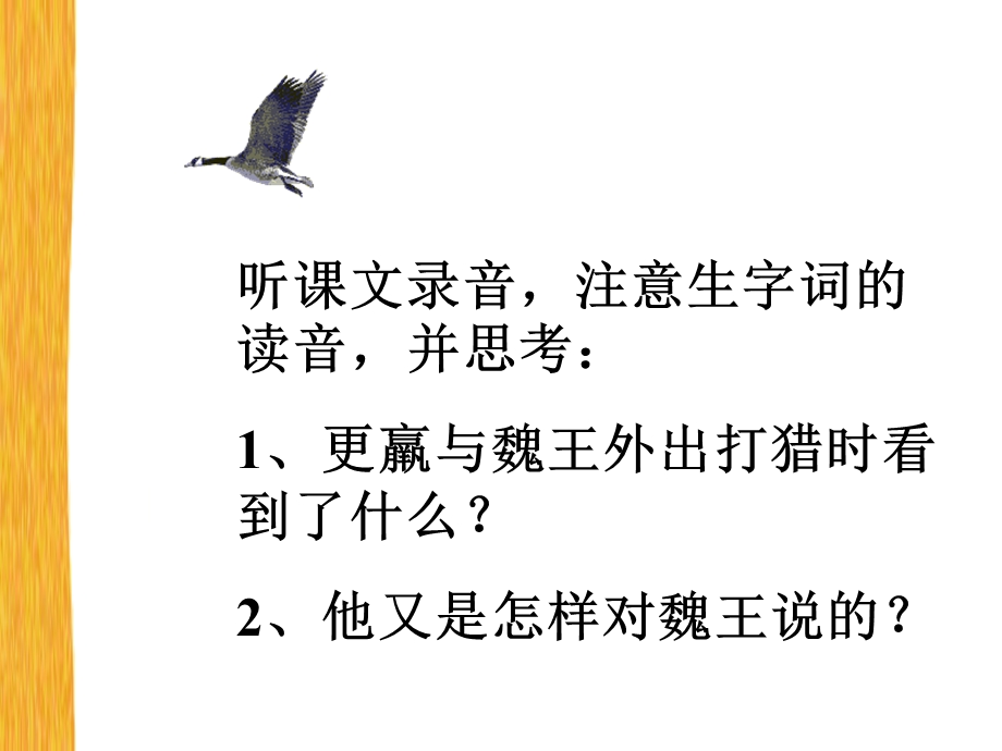 惊弓之鸟PPT课件.ppt_第2页