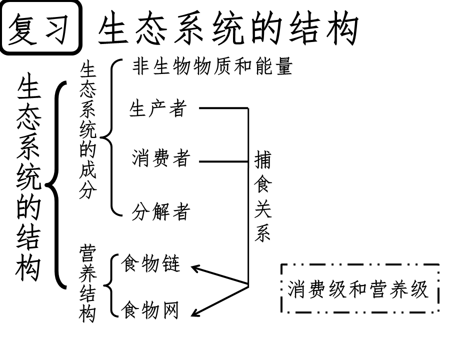 生态系统的能量流动PPT.ppt_第1页