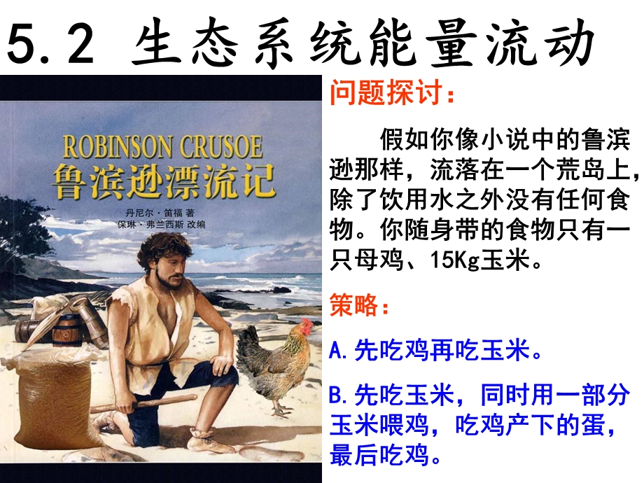 生态系统的能量流动PPT.ppt_第2页