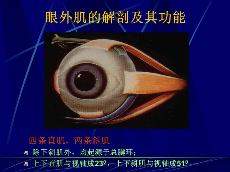 斜视和弱视(眼科学课件).ppt_第3页