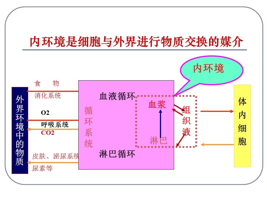 yang稳态的重要性.ppt_第2页