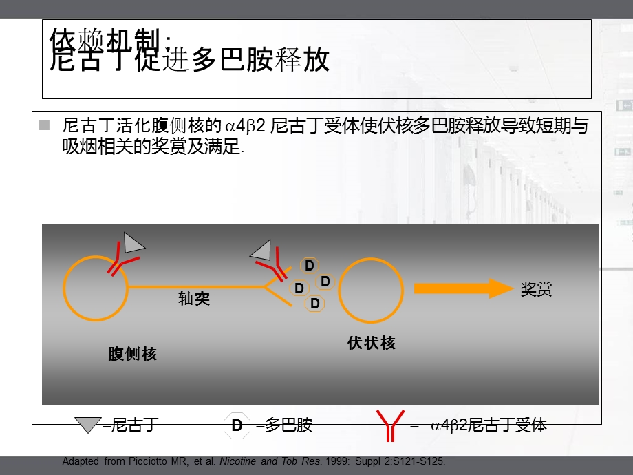 戒烟方法和技巧培训.ppt_第3页