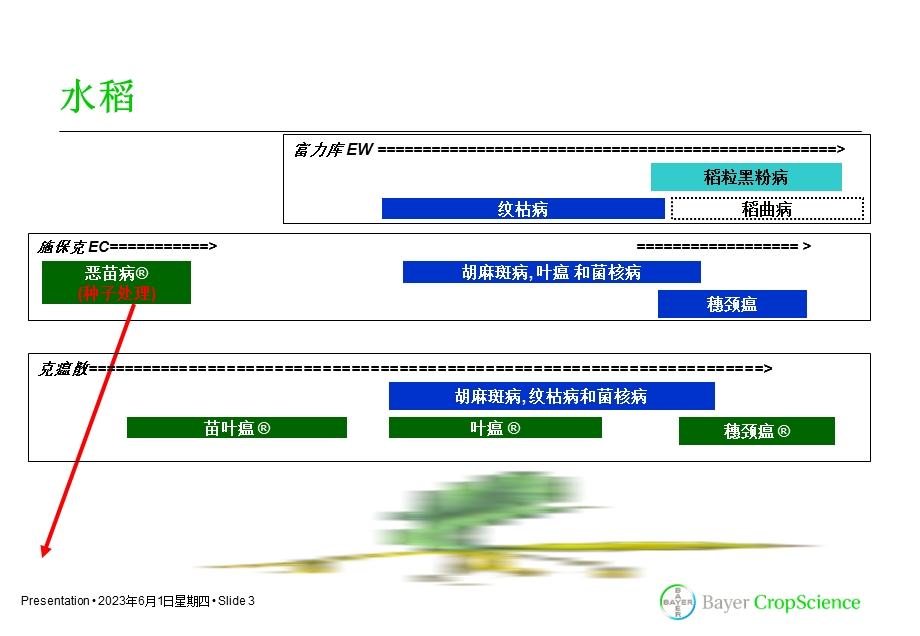 拜耳杀菌剂定位.ppt_第3页