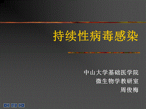 持续性病毒感染.ppt