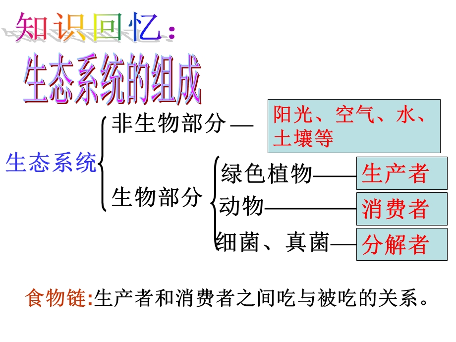 动物中生物圈中的作用.ppt_第2页