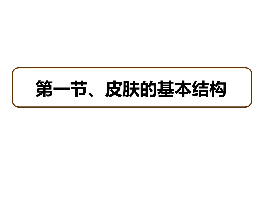 护肤保养基础知识(护肤必备).ppt_第3页