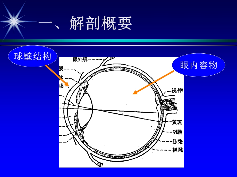 彩色超声诊断眼部疾病.ppt_第2页