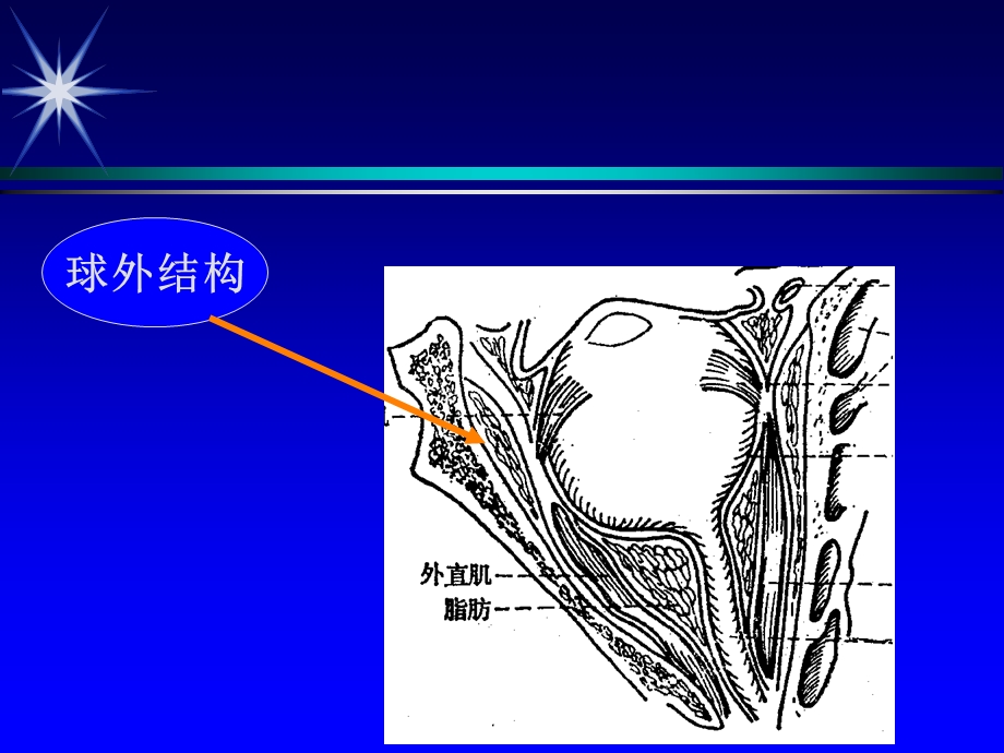 彩色超声诊断眼部疾病.ppt_第3页