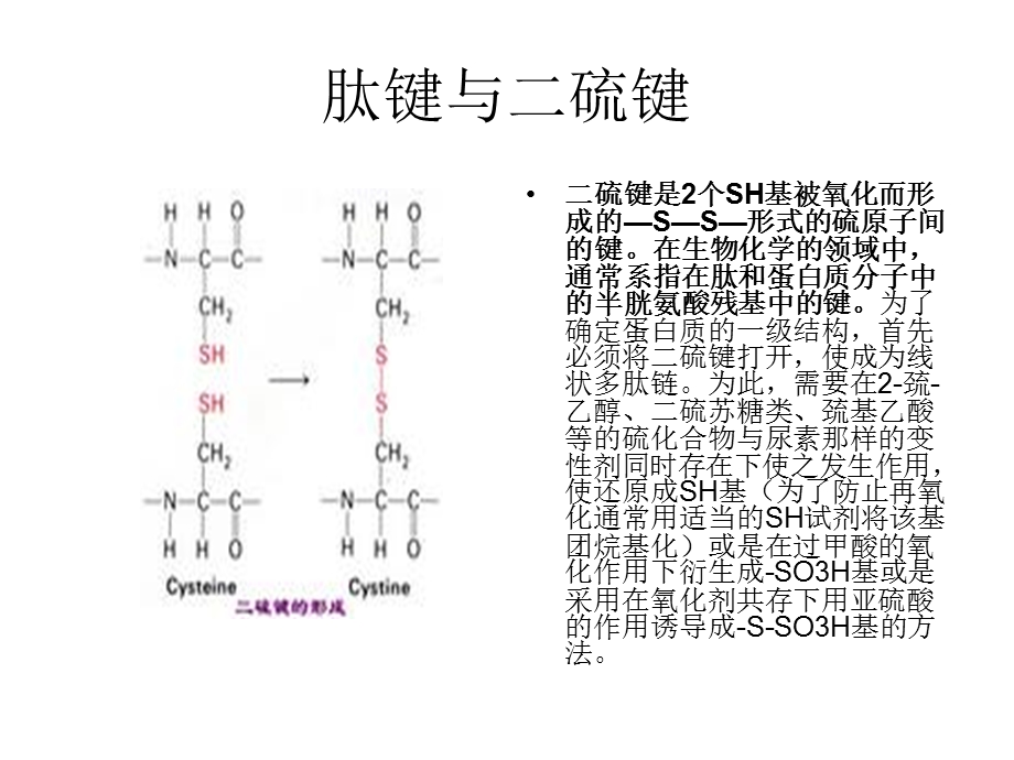 氨基酸脱水缩合.ppt_第3页