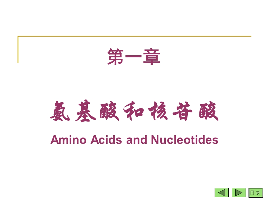 氨基酸和核苷酸.ppt_第1页