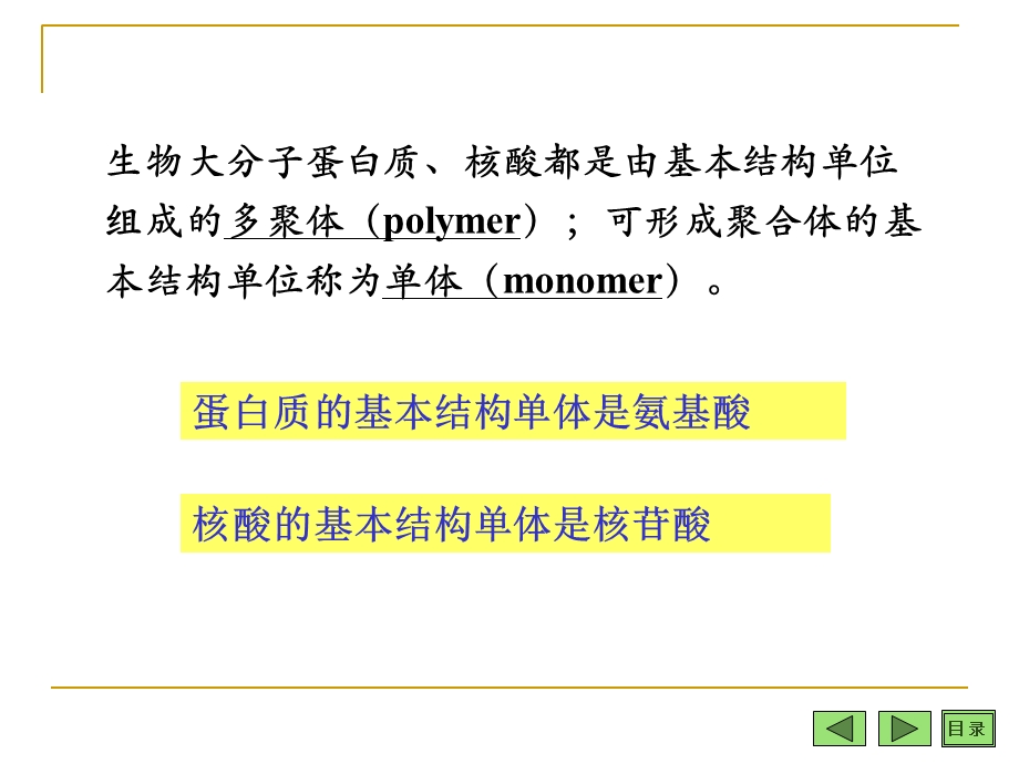 氨基酸和核苷酸.ppt_第2页