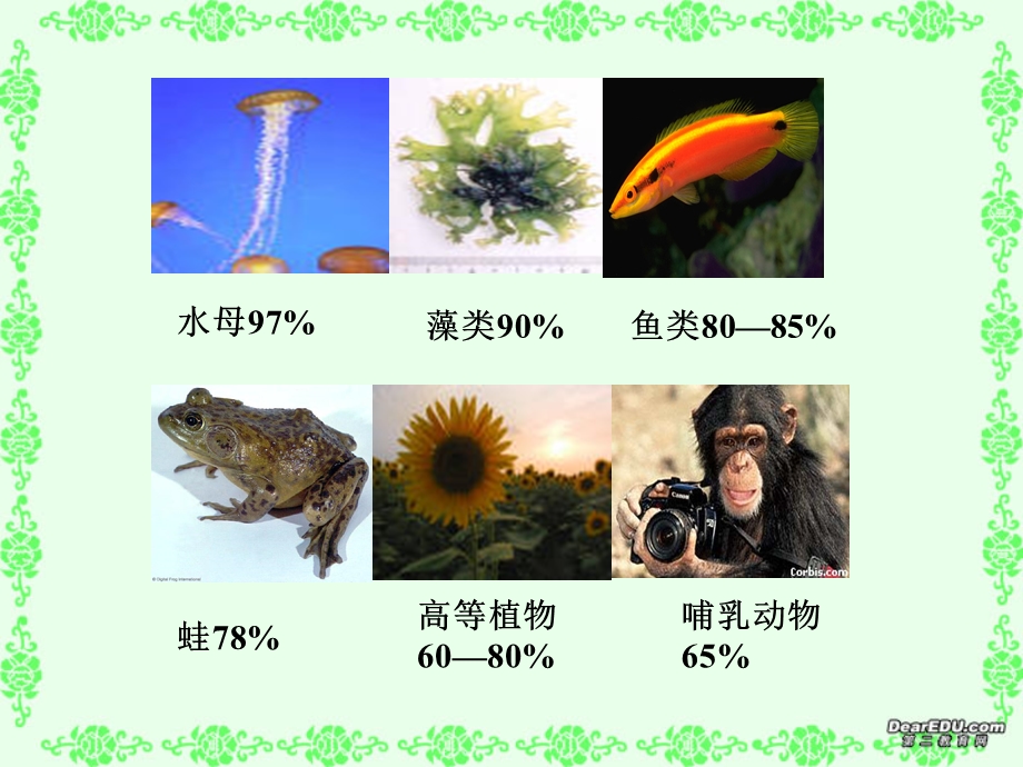 第五节细胞的无机盐1.ppt_第2页