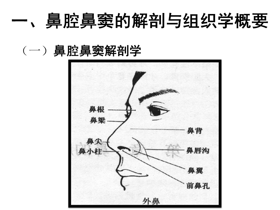 总论、耳鼻咽喉组织病理学.ppt_第2页