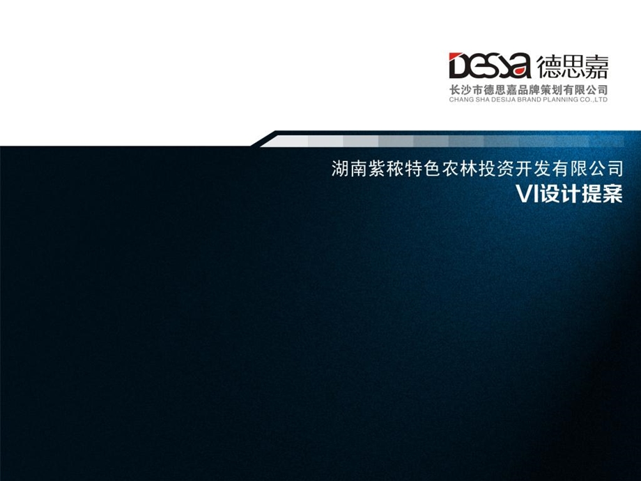 某公司VI设计方案.ppt_第1页