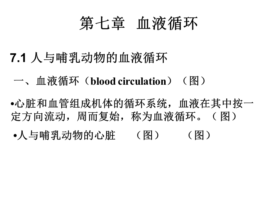 动物生理学第七章血液循环.ppt_第1页