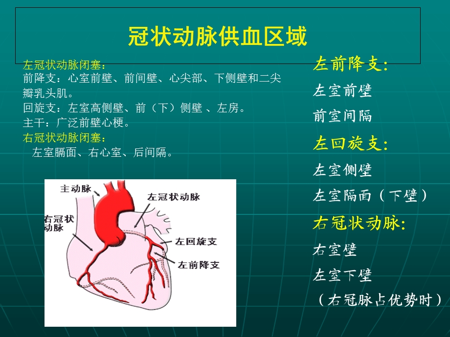 冠状动脉供血区域.ppt_第1页