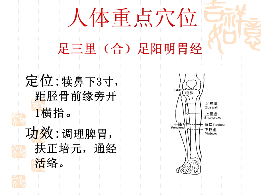 常见病的推拿治疗.ppt_第2页