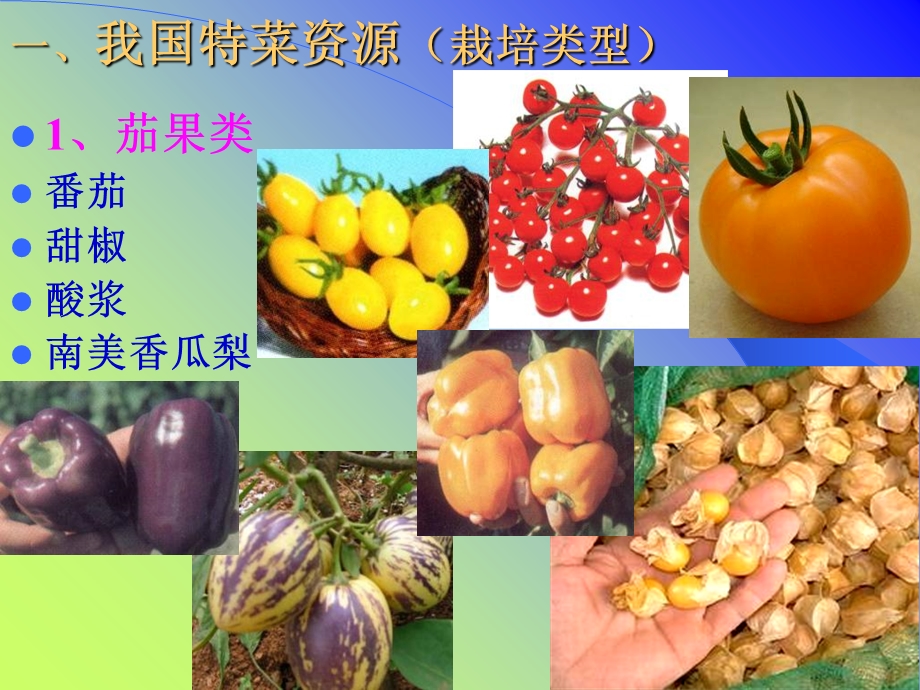 特种蔬菜培育培训讲座.ppt_第2页