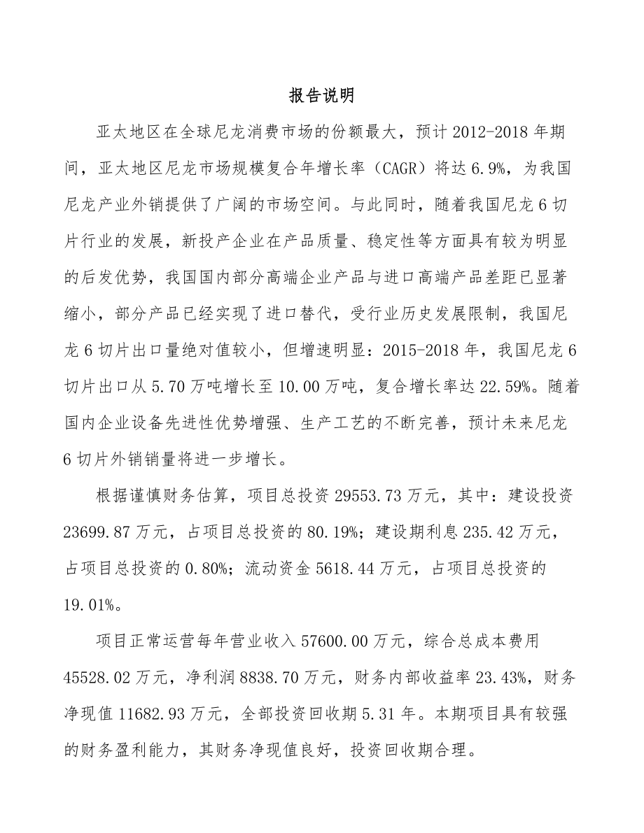 山东聚酰胺6切片项目可行性研究报告.docx_第2页