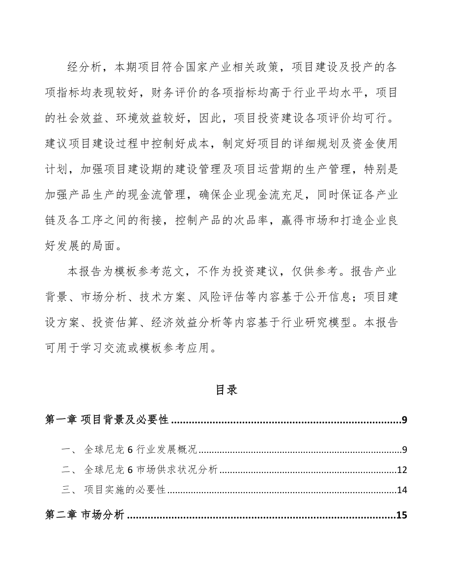 山东聚酰胺6切片项目可行性研究报告.docx_第3页