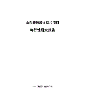 山东聚酰胺6切片项目可行性研究报告.docx