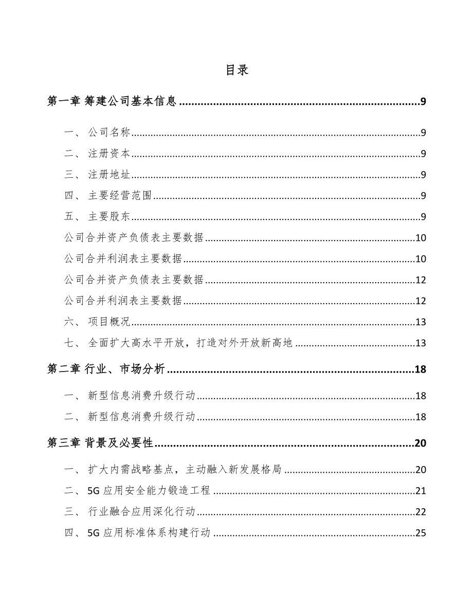 山东关于成立5G公司可行性研究报告.docx_第2页