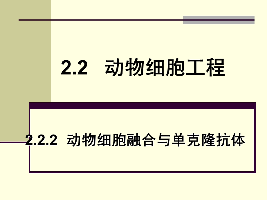 动物细胞融合与单克隆抗体超好.ppt_第2页