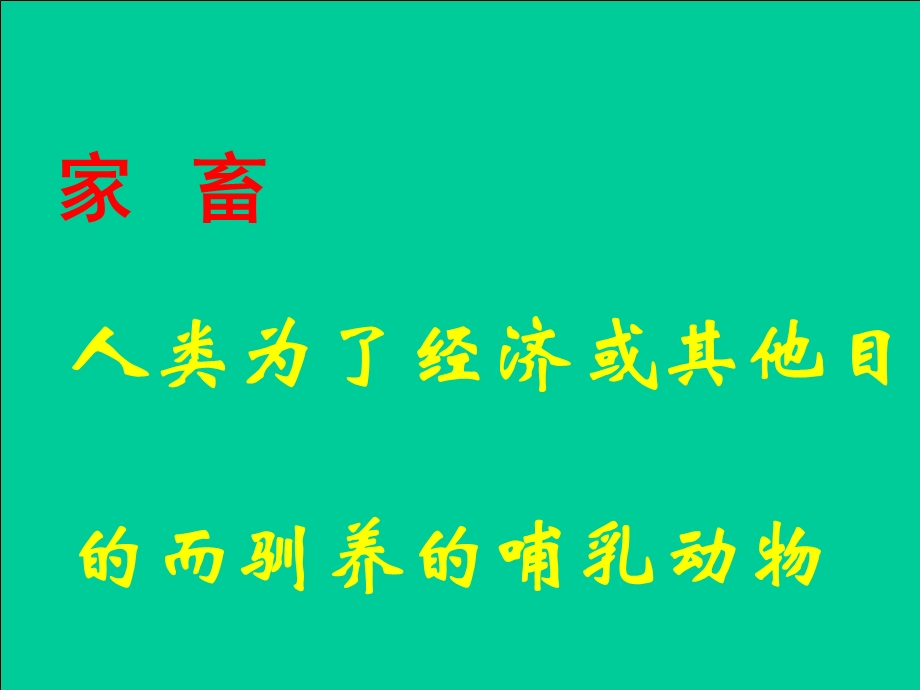 常见的动物家畜.ppt_第2页