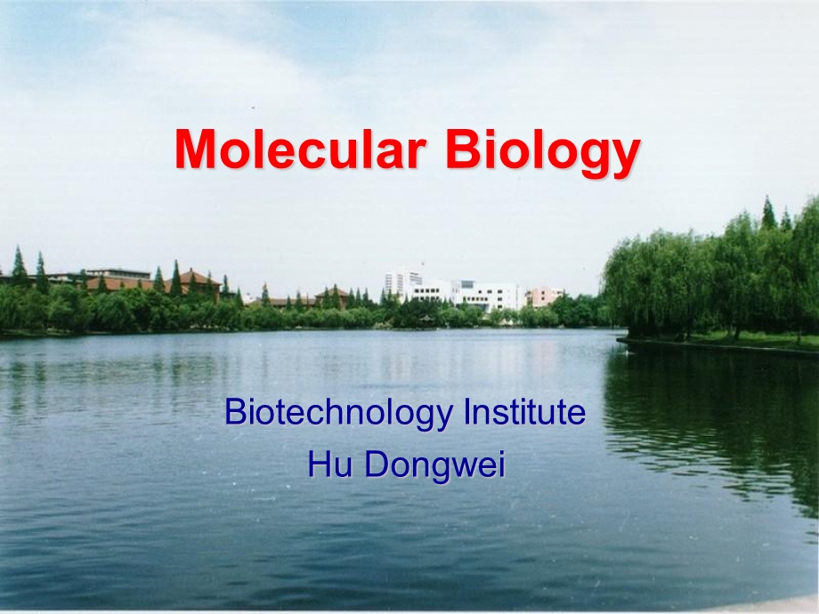 分子生物学-DNA的复制.ppt_第1页