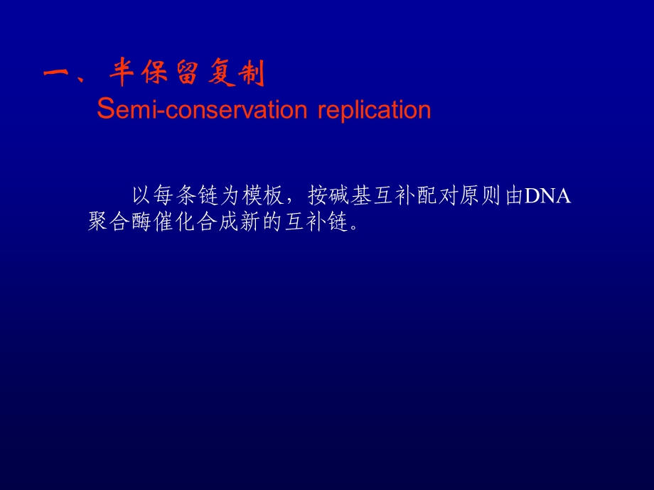 分子生物学-DNA的复制.ppt_第3页