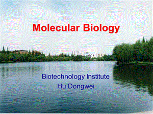 分子生物学-DNA的复制.ppt