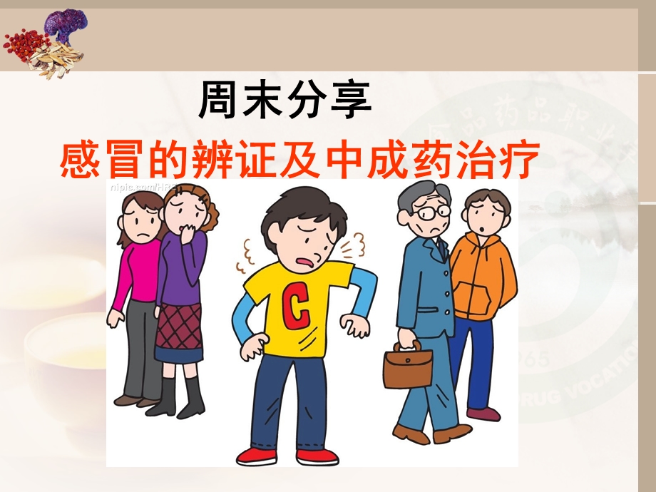 感冒的辩证及中成药治疗.ppt_第1页