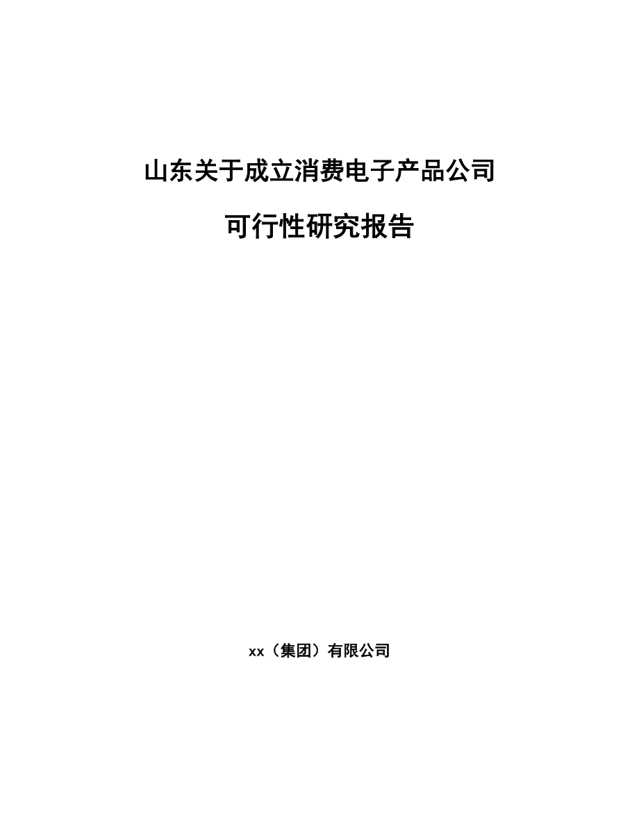 山东关于成立消费电子产品公司可行性研究报告.docx_第1页