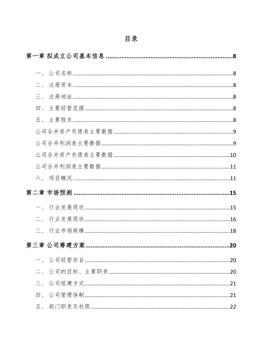 山东关于成立消费电子产品公司可行性研究报告.docx_第2页