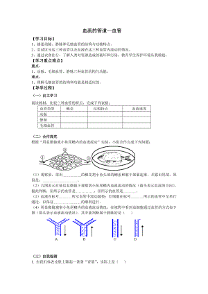 《血流的管道-血管》导学案.doc