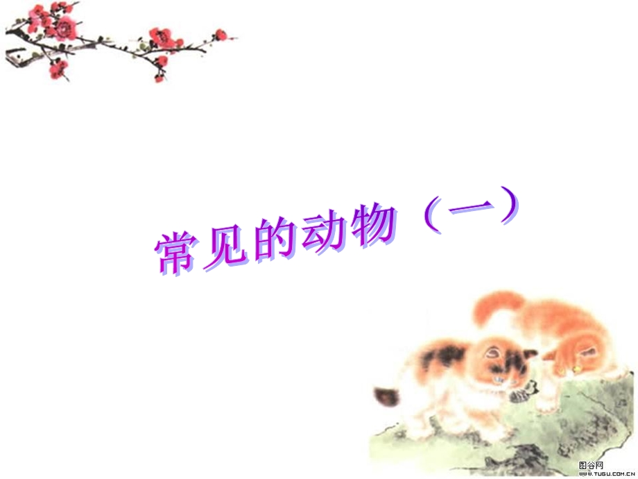 常见的动物(动物的分类).ppt_第3页