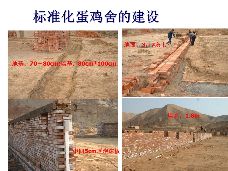 标准化蛋鸡舍建设与蛋鸡饲养.ppt_第2页