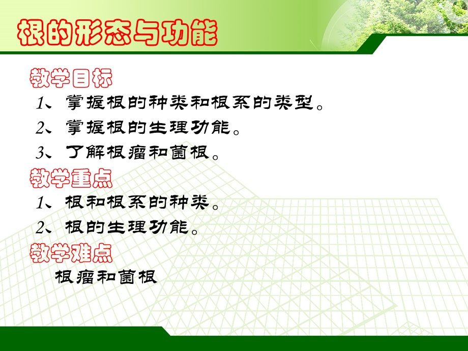 根的种类及根系的类型.ppt_第3页