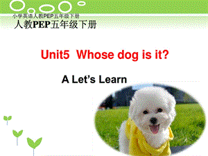 小学英语人教PEP五年级下册五下U5whosedogisitALetslearn+1.ppt