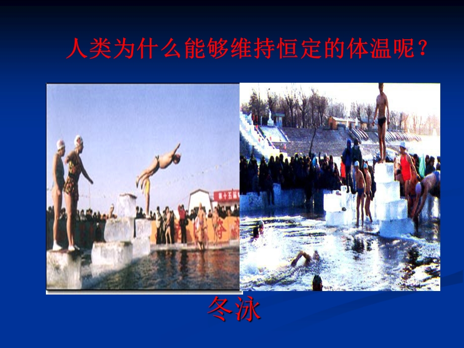 发热临床医学概论.ppt_第2页