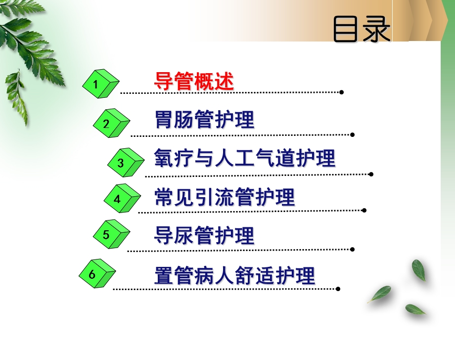 常见导管的护理.ppt_第2页